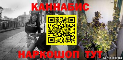 дмт Краснодар