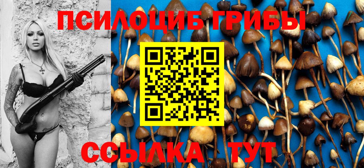 Алапаевск  Галлюциногенные грибы мицелий  Галлюциногенные грибы прущие грибы  Вход с VPN 